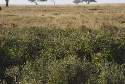 DSC_3806 (Large).JPG